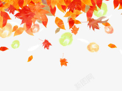 秋季背景枫叶素材