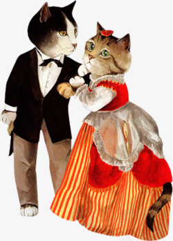 结婚猫咪小猫动物高清图片