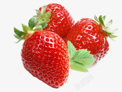 三颗草莓水果素材