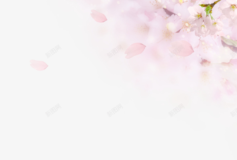 植物小清新涂鸦花朵粉色png免抠素材_新图网 https://ixintu.com 植物 涂鸦 清新 粉色 花朵