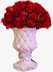摄影红色盆栽玫瑰花素材