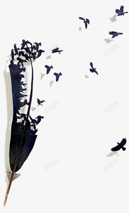 飞翔的小鸟png免抠素材_新图网 https://ixintu.com 创意 羽毛 设计感 飞翔 黑色小鸟 黑色羽毛