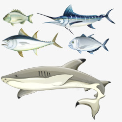 海洋各种鱼类矢量图素材