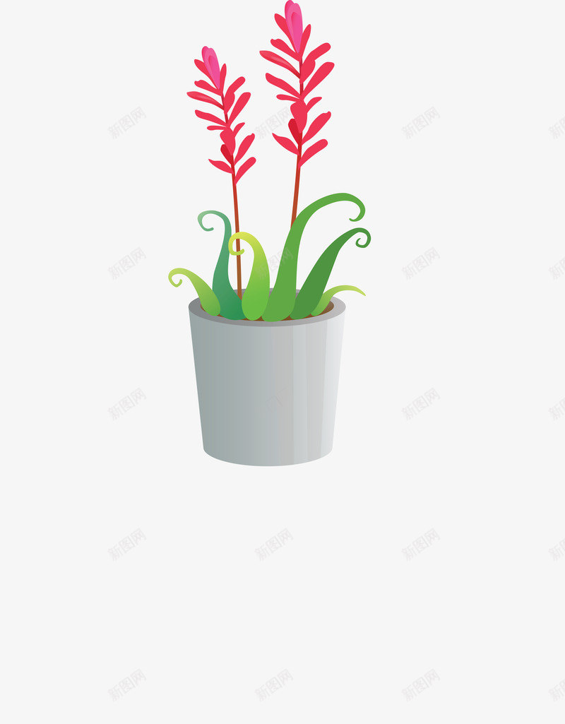 卡通室内盆栽植物花卉png免抠素材_新图网 https://ixintu.com 室内植物