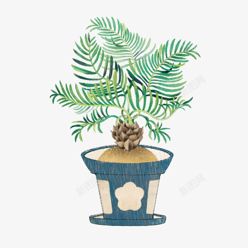 手绘盆栽植物png免抠素材_新图网 https://ixintu.com 卡通 家里 手绘 植物 环保 盆栽 装饰