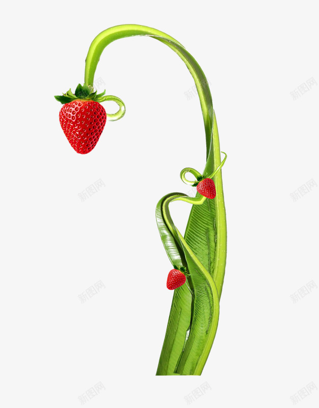 卡通草莓树png免抠素材_新图网 https://ixintu.com 卡通 枝干 草莓 草莓树