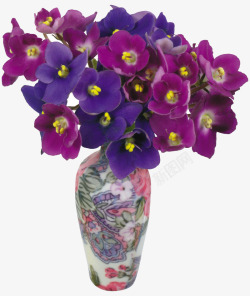 紫罗兰盆栽紫罗兰花高清图片