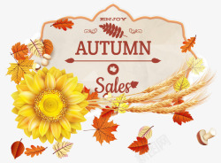 枫叶与蘑菇图片秋天主题销售背景高清图片