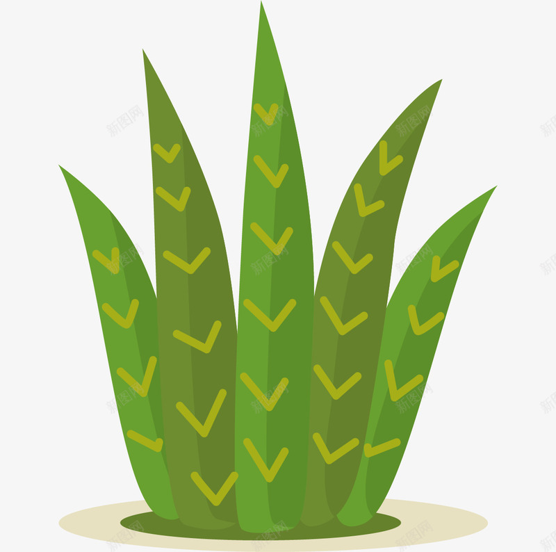 手绘绿植png免抠素材_新图网 https://ixintu.com 盆栽 矢量装饰 绿植 装饰 装饰画
