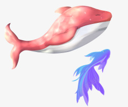 游泳的鱼儿中国风粉色海豚图高清图片