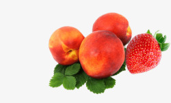 水果油桃草莓素材