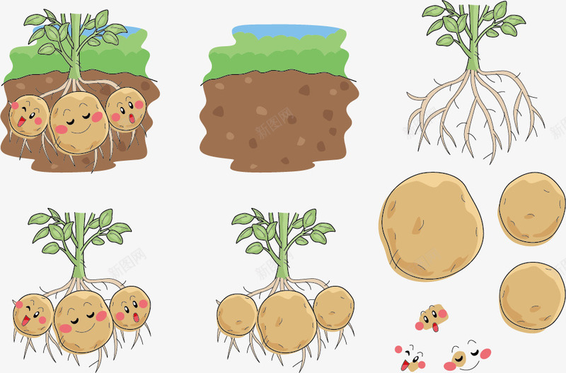 地里的土豆表情矢量图ai免抠素材_新图网 https://ixintu.com 土豆 地里 开心 手绘 睡觉 表情 矢量图