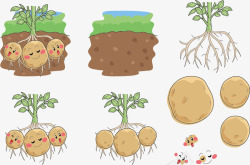 地里的土豆表情矢量图素材