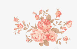 粉红花朵牡丹花装饰素材