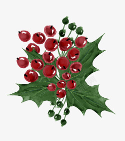 手绘小红果圣诞花装饰小红果高清图片