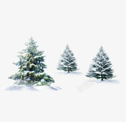 雪地松树小屋雪地里的松树高清图片