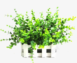 小清新绿色盆栽素材