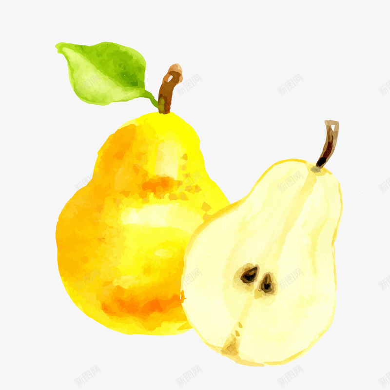 手绘黄色雪梨png免抠素材_新图网 https://ixintu.com 手绘水果 手绘食物 梨子 背景装饰 雪梨 鸭梨 黄色