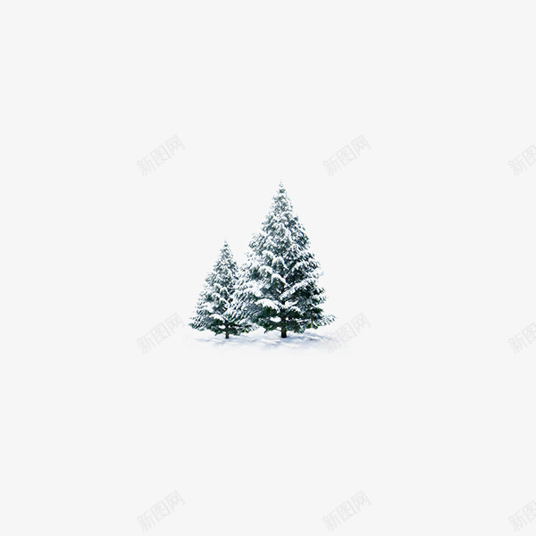 雪中的松树png免抠素材_新图网 https://ixintu.com 冬季 大雪 松树
