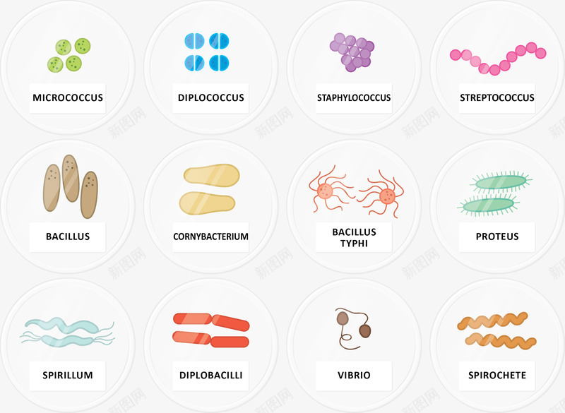 多种细菌形象图矢量图ai免抠素材_新图网 https://ixintu.com 卡通图 病毒 细菌 矢量图