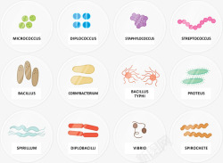 多种细菌形象图矢量图素材
