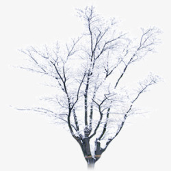 落满雪的树素材