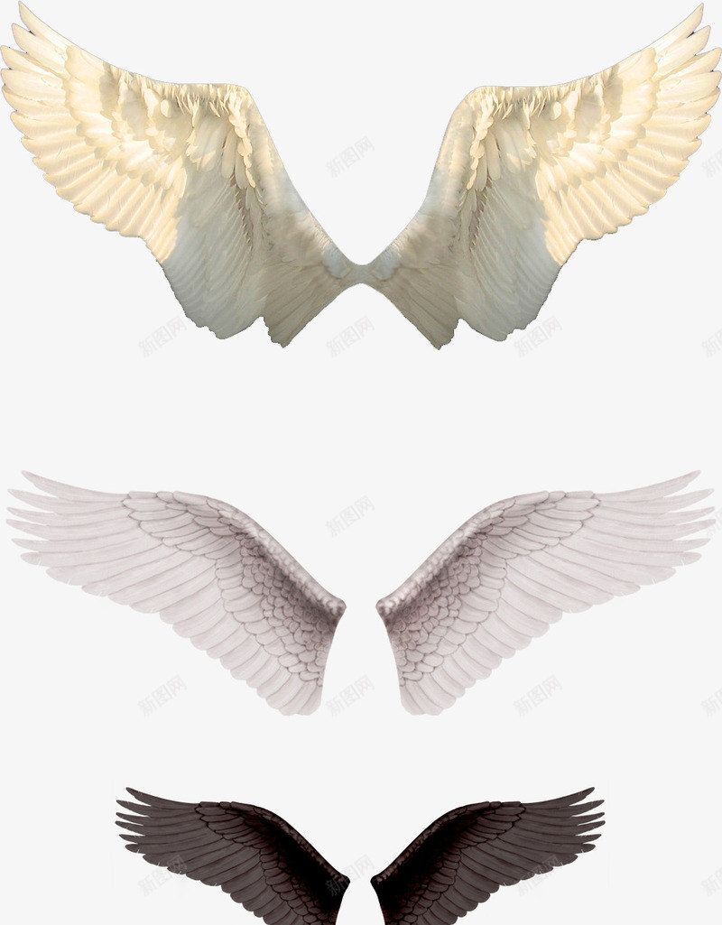 白色翅膀羽翼装饰图案png免抠素材_新图网 https://ixintu.com 免抠PNG 白色 羽翼 翅膀 装饰图案