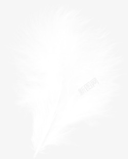 白色羽毛素材