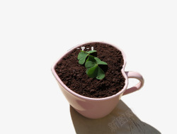 可可奶茶心形陶瓷杯装盆栽饮料高清图片