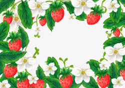 手绘插画新鲜草莓果实与绿叶素材