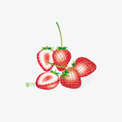 草莓ai格式矢量图素材