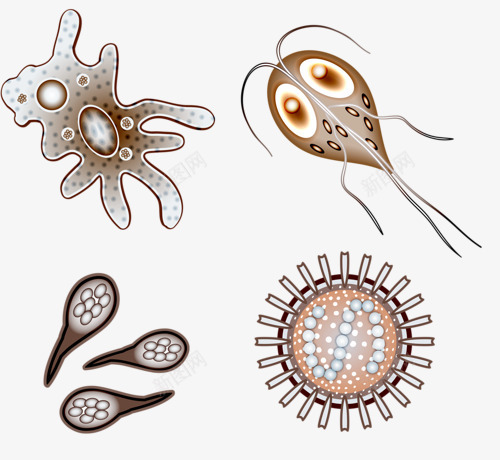 细菌png免抠素材_新图网 https://ixintu.com 卡通细菌 微生物 怪物 病毒