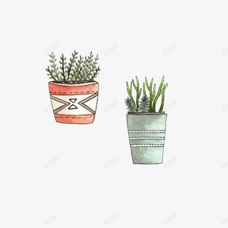 两盆带刺的植物绿植png免抠素材_新图网 https://ixintu.com 刺 手绘 植物 盆栽