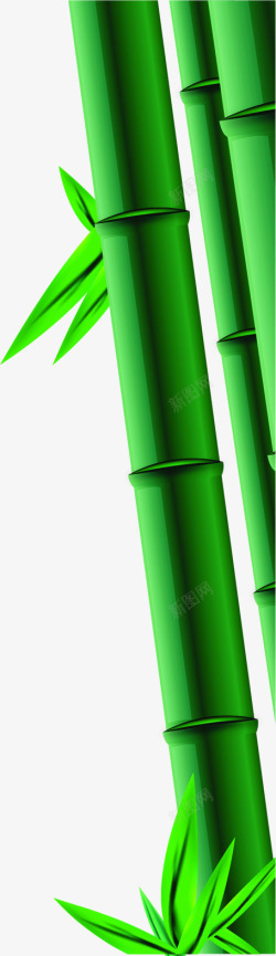 竹子绿竹翠竹端午节侧边装饰素材