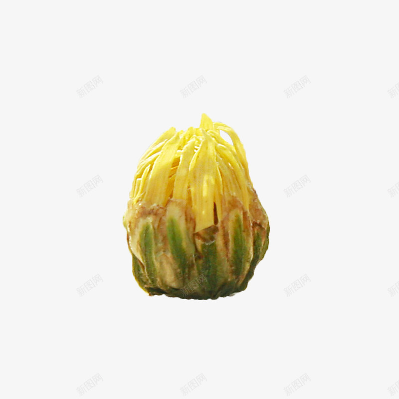 产品实物黄色菊花胎菊茶png免抠素材_新图网 https://ixintu.com 下火茶 产品实物 保健品 杭白菊 胎菊 胎菊茶 菊花 菊花茶 黄色菊花