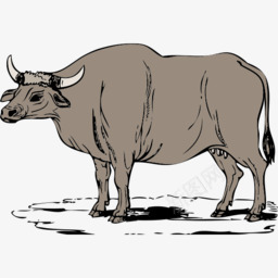 动物白肢野牛openicon图标图标