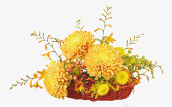 黄色花蕾花篮高清图片