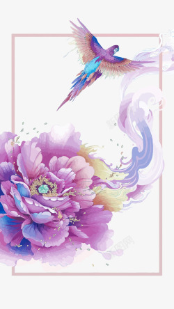中国风牡丹背景牡丹花和鹦鹉高清图片