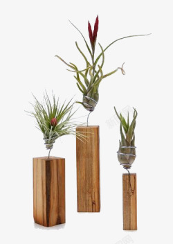 创意木头花盆素材
