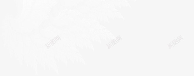 手绘白色清新羽毛装饰png免抠素材_新图网 https://ixintu.com 清新 白色 羽毛 装饰