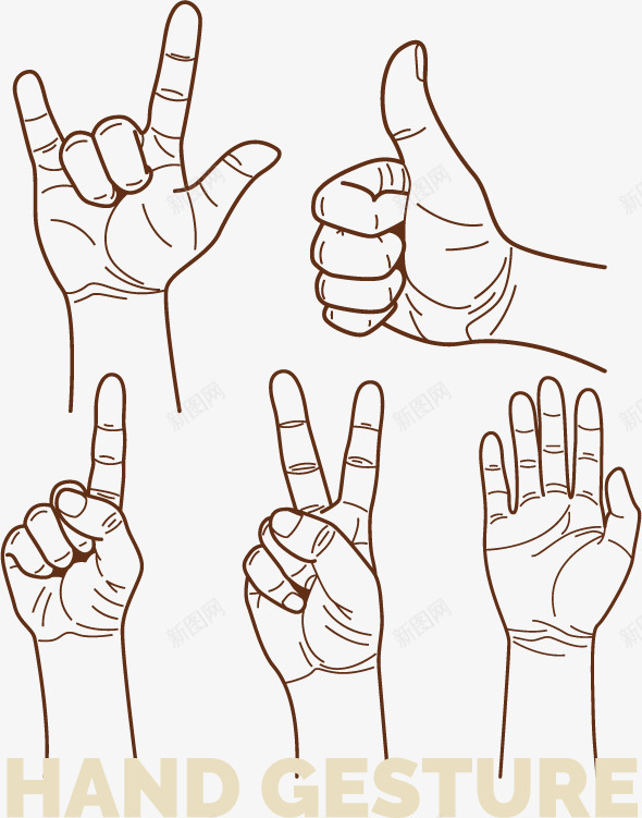 五种手势图png免抠素材_新图网 https://ixintu.com 免抠png素材 免费png素材 大拇指 姿势 手势 手掌 手绘 胜利