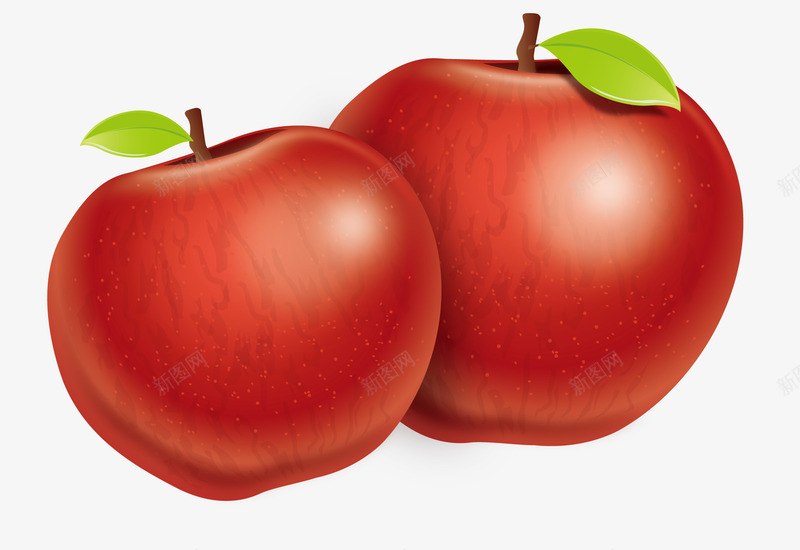 两苹果矢量图ai免抠素材_新图网 https://ixintu.com 3D 水果 红富士 红色 矢量图