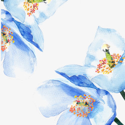 蓝色花蕊蓝色鲜花高清图片