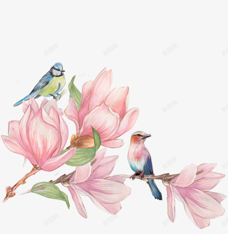 粉色花朵png免抠素材_新图网 https://ixintu.com 中国风 卡通手绘 古风 小鸟 树枝 水彩 粉色 鲜花