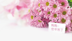 粉红康乃馨母亲节祝福背景装饰高清图片
