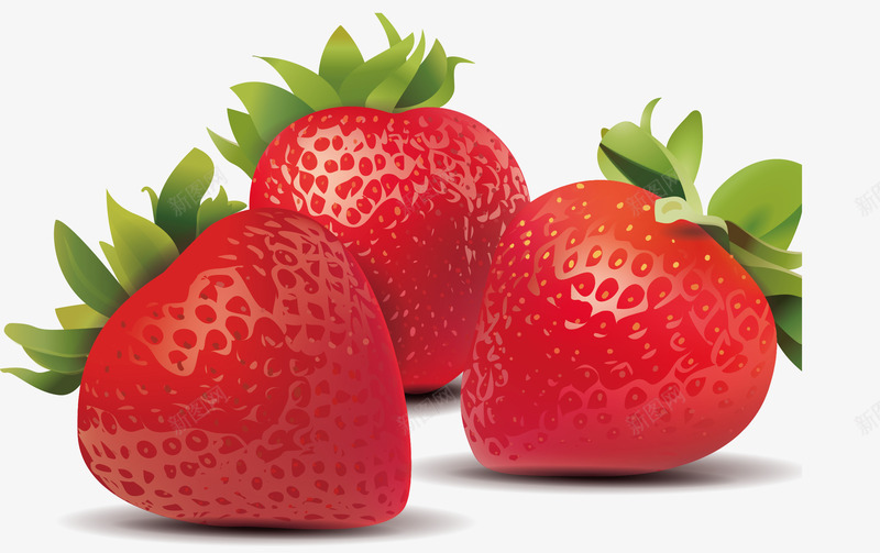 鲜艳的草莓矢量图eps免抠素材_新图网 https://ixintu.com 新鲜草莓 矢量素材 红色草莓 草莓 鲜草莓 矢量图