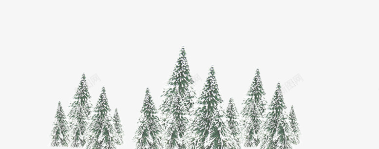 圣诞节树雪装饰png免抠素材_新图网 https://ixintu.com 免抠森林 圣诞节 树雪装饰 绿色的树木 雪杉树