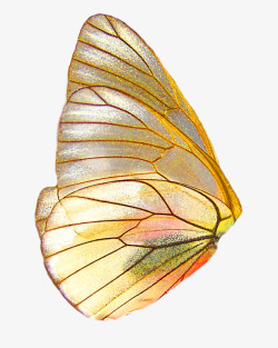 金色小人壁纸蝴蝶翅膀装饰图JJ20壁纸高清图片