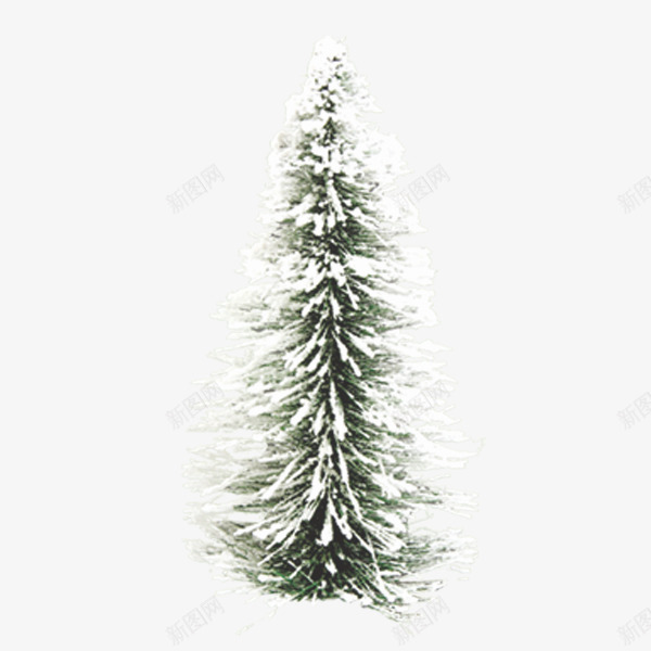 圣诞松树png免抠素材_新图网 https://ixintu.com 圣诞树 白色 简洁 绿松树 雪