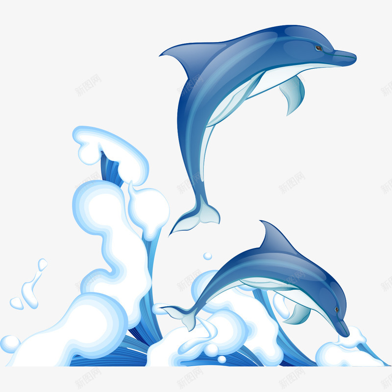 水花海豚图案png免抠素材_新图网 https://ixintu.com 图案 水花 水花海豚图案 海豚